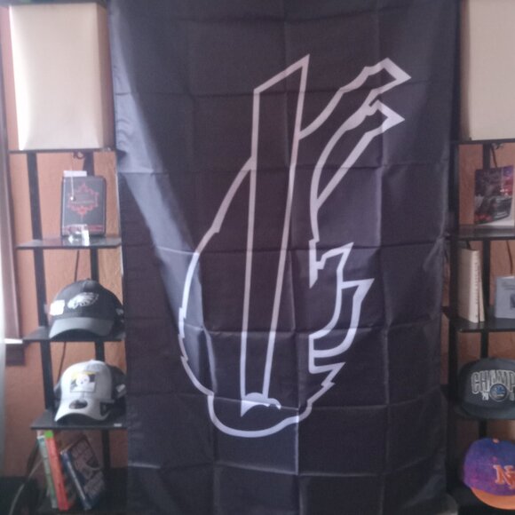 NEW Buffalo Bills Black & White NFL 3X5 Feet Flag Banner Wall Decor or Pole Hang - Picture 4 of 5